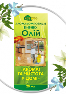 Композиція «Аромат та чистота у домі»